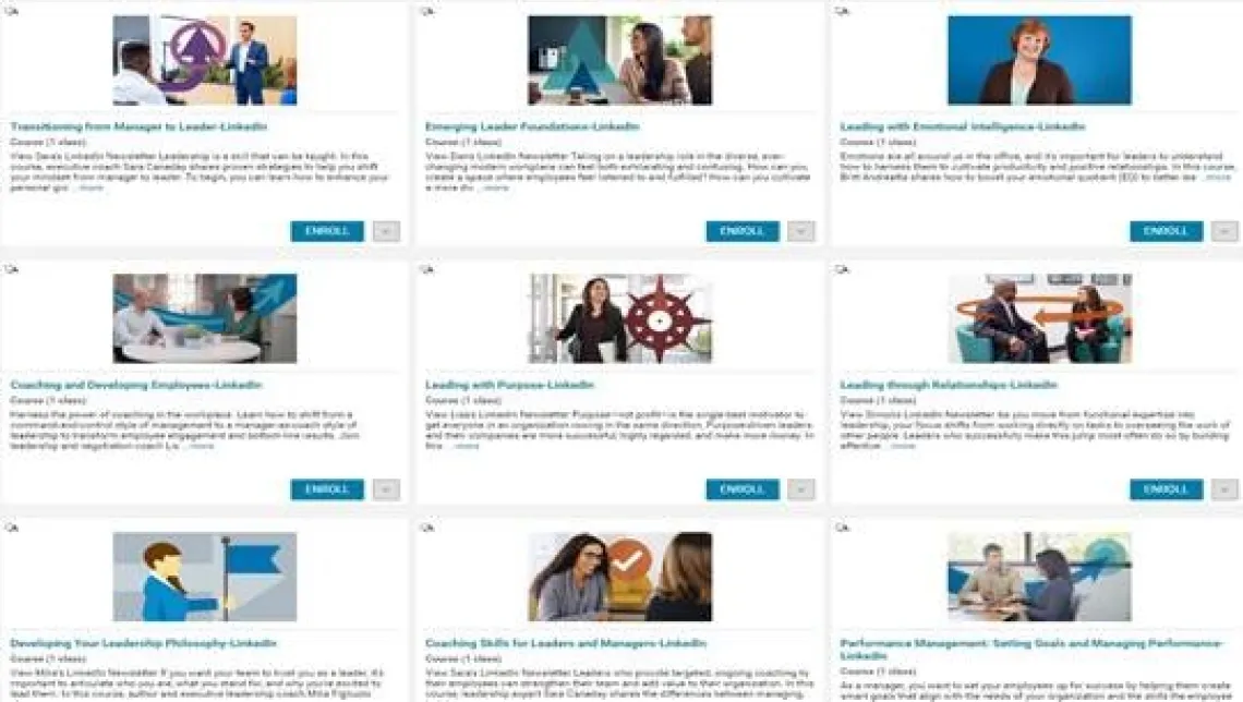 set of recommended LinkedIn Learning courses